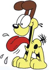 Mascota2