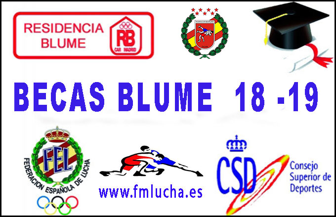  Becas CAR del CSD 2018-2019