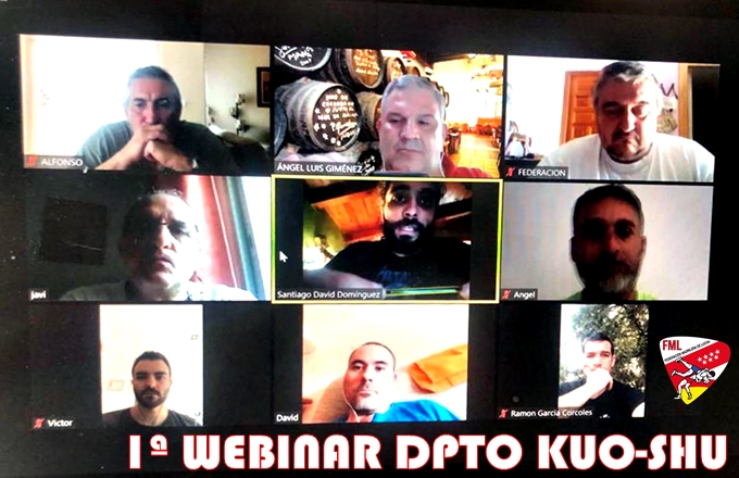Videoconferencias FML