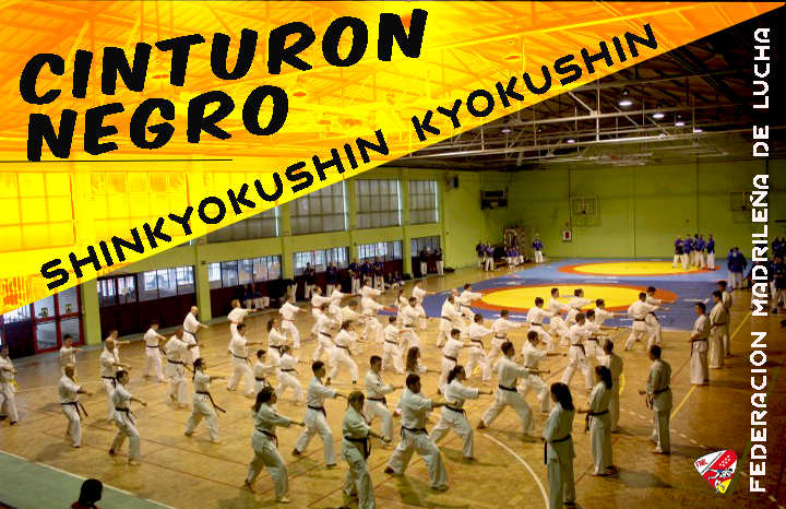 Curso y Éxamen para Cinturones Negros Shinkyokushin-Kyokushin