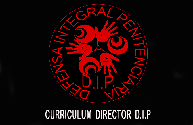 Curriculum Director DIP - Fco. Javier Rguez ROMAN