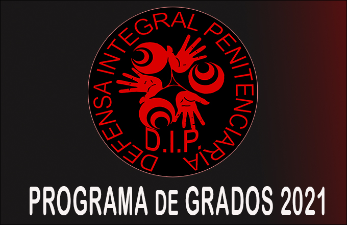 Programa de Grados DIP 2021